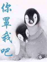 你罩我吧完结+番外