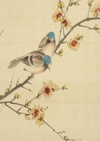 情花冊1v1古言