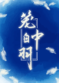 笼中白羽（1v1h）